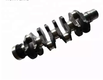 1013 Crankshaft 1013 Crankshaft