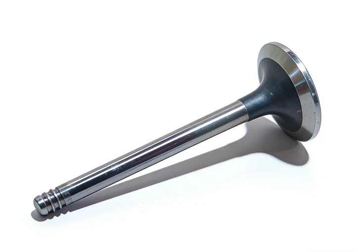 04133922 Deutz TCD2.9L4 uchun qabul qilish valfi